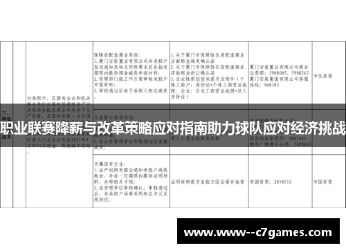 职业联赛降薪与改革策略应对指南助力球队应对经济挑战