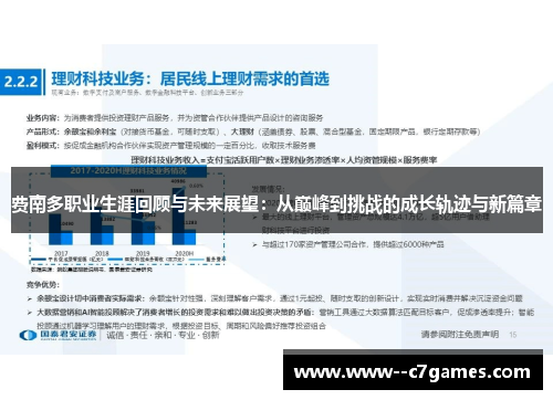 费南多职业生涯回顾与未来展望：从巅峰到挑战的成长轨迹与新篇章