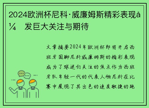 2024欧洲杯尼科·威廉姆斯精彩表现引发巨大关注与期待